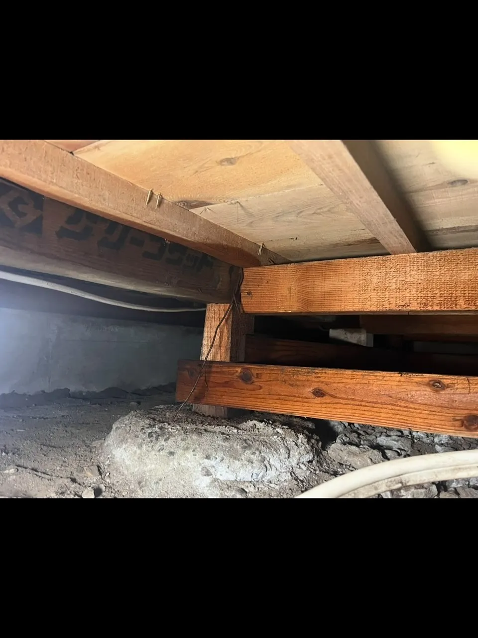 ダイシン消毒です!