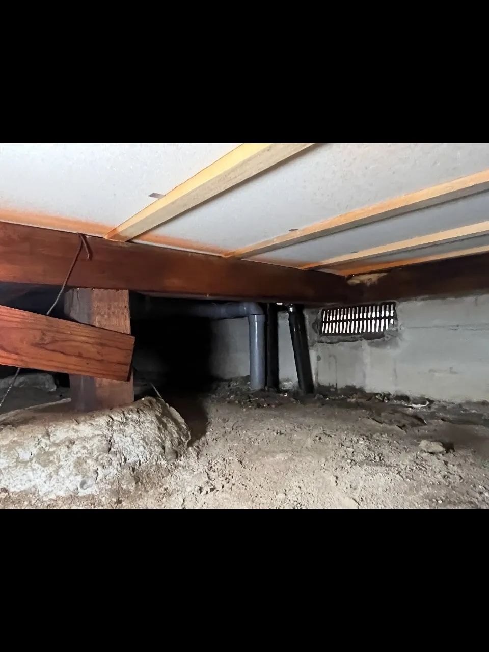 ダイシン消毒です!