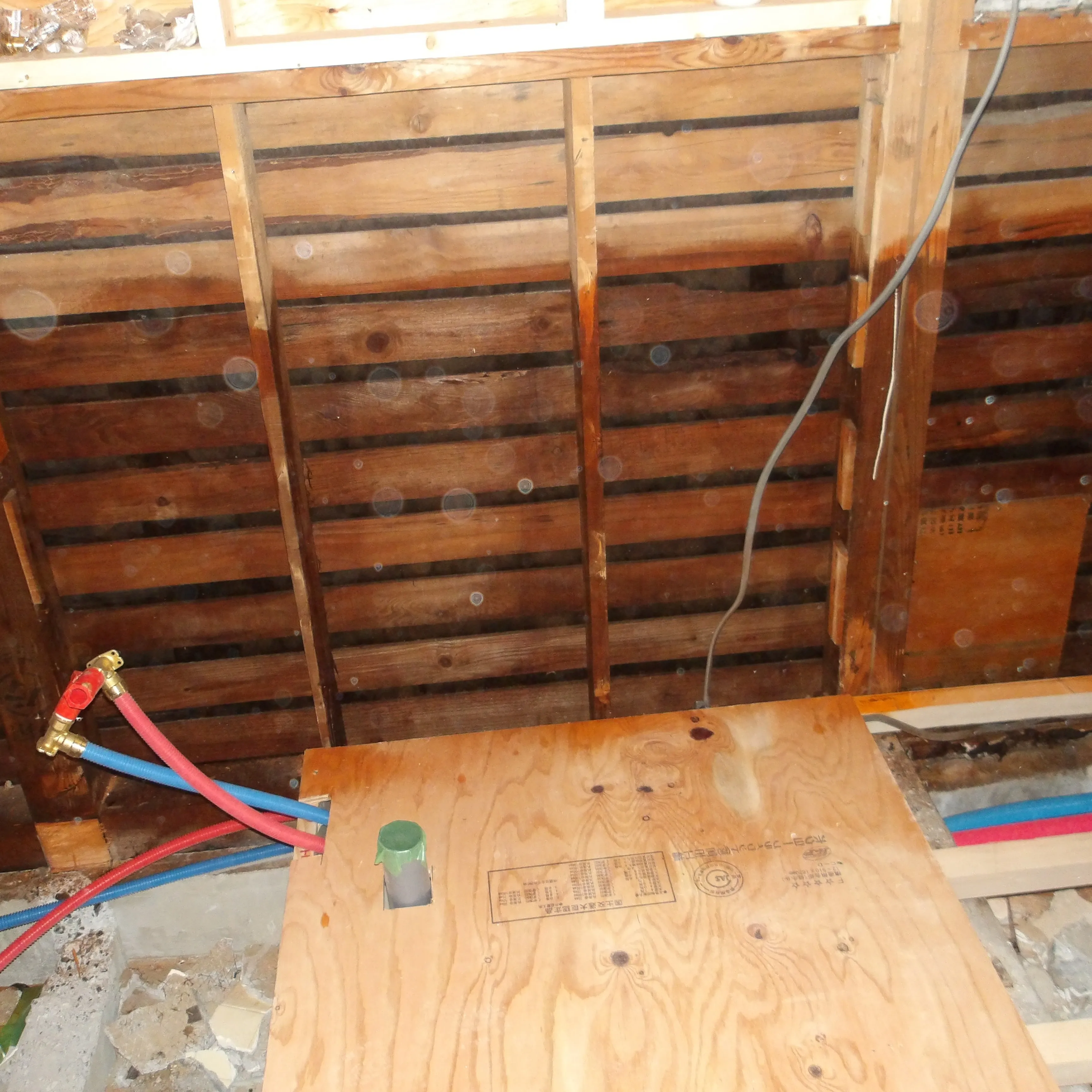 府中市にて、リフォーム中の建物でダシロアリ消毒作業を行いまし...