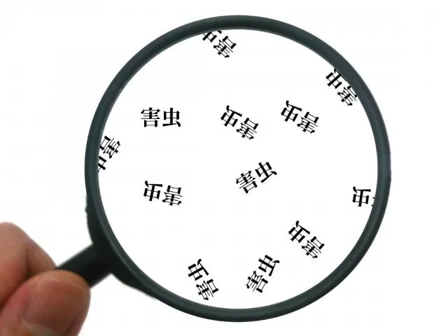 害虫の文字を映す虫眼鏡