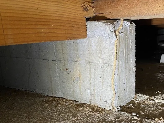 老朽化した建物の床下や屋根裏はシロアリが好む環境！